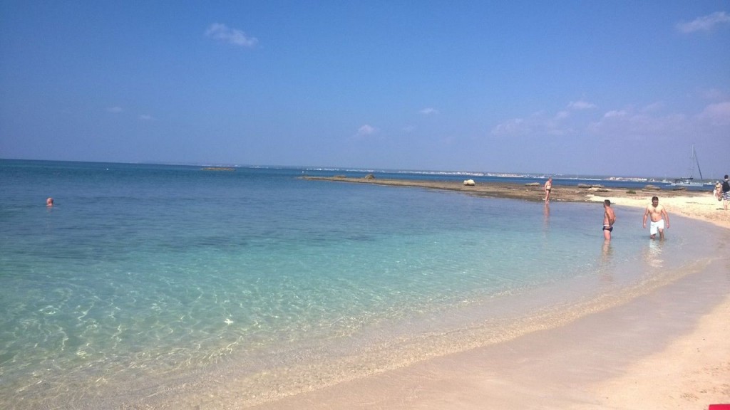 Maiorca